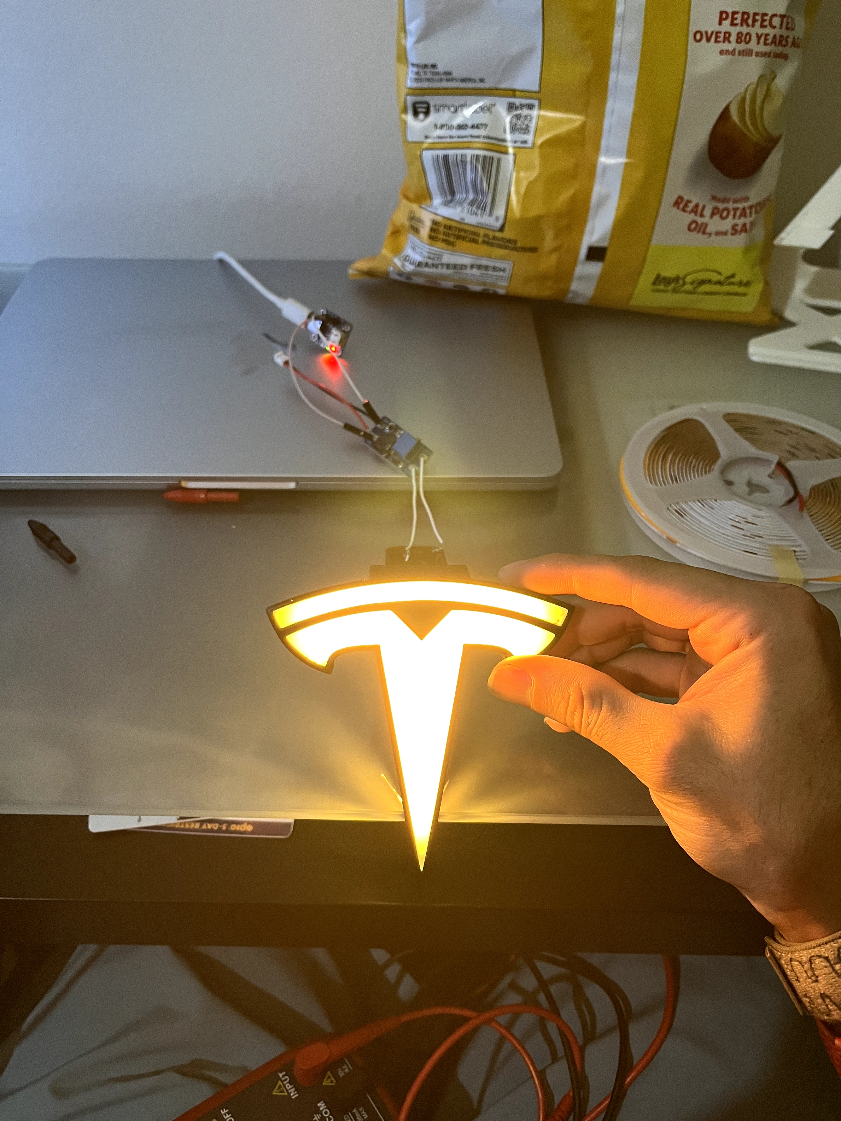 Custom glowing Model X logo.